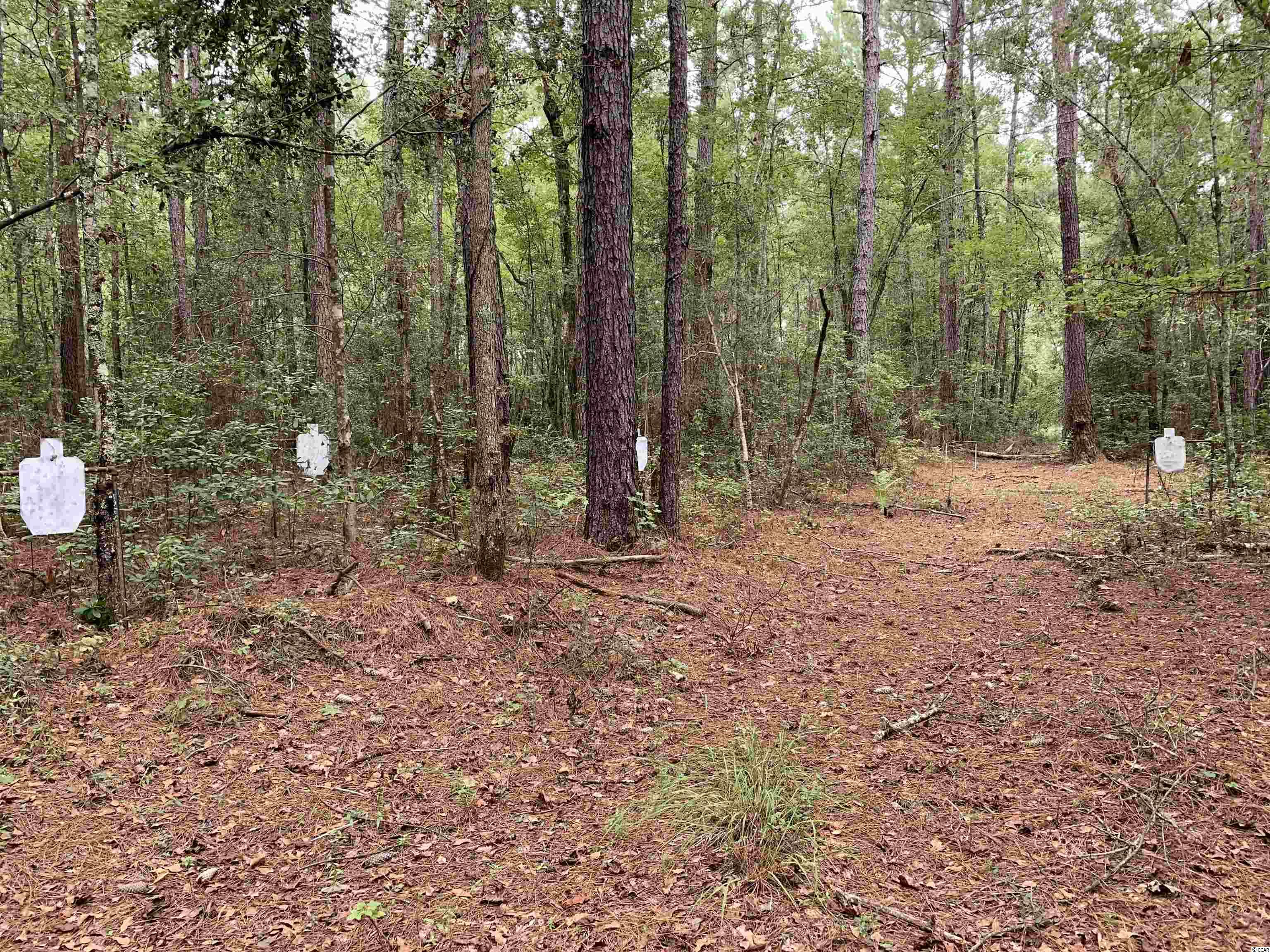 Tbt Black River Road New Zion, SC 29111 - Photo 17 of 19 Gallery Image 17