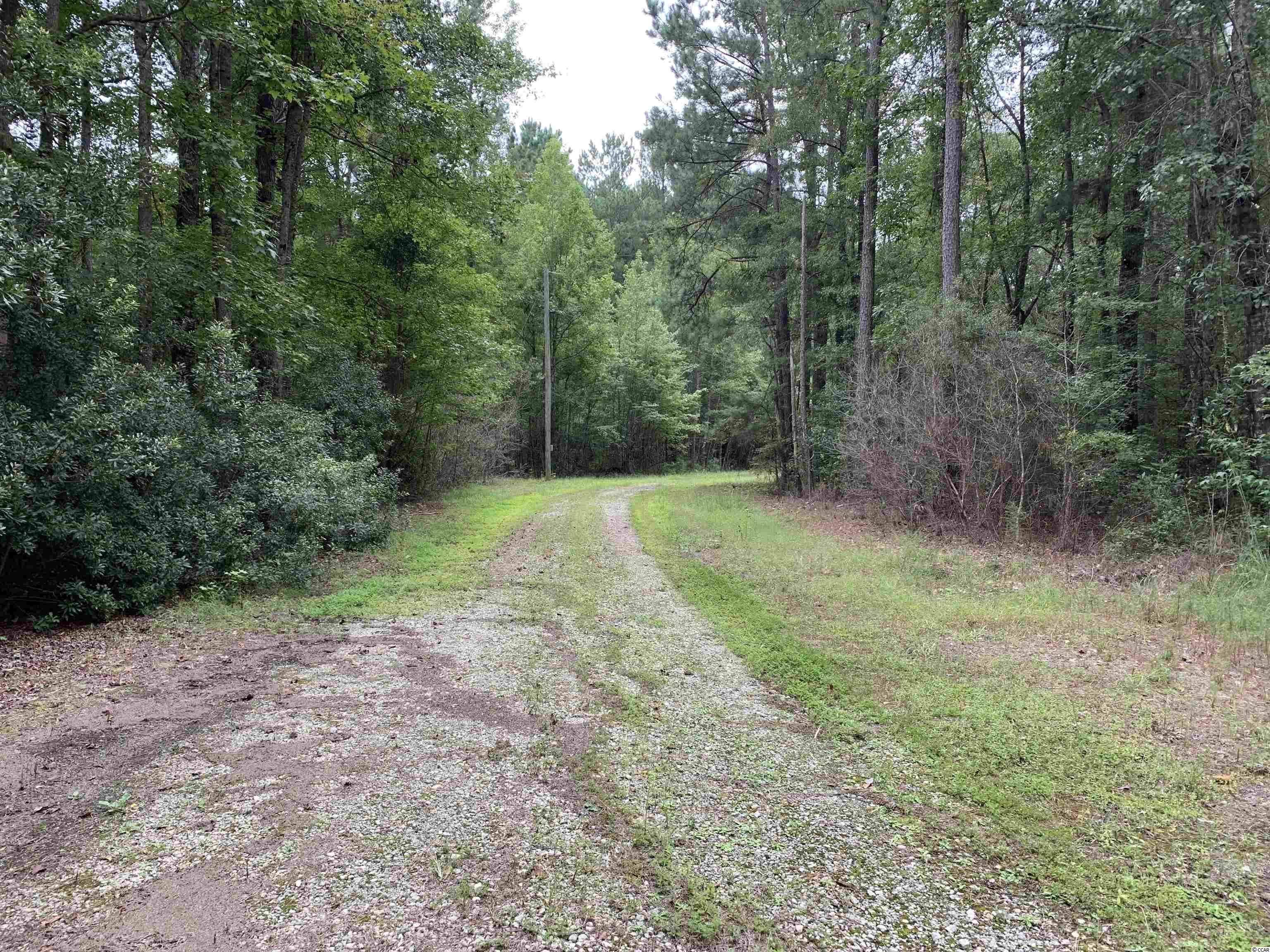 Tbt Black River Road New Zion, SC 29111 - Photo 19 of 19 Gallery Image 19