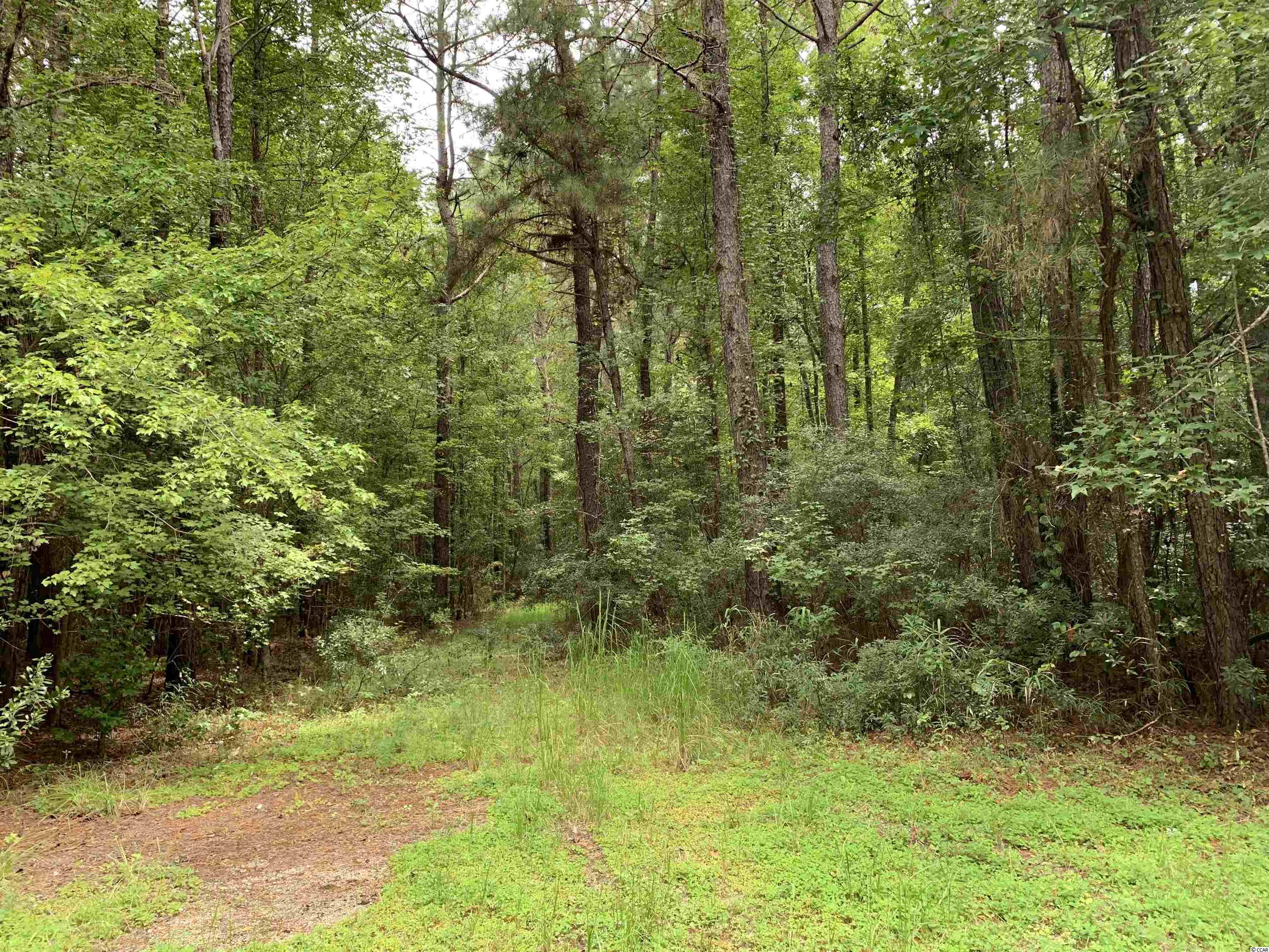 Tbt Black River Road New Zion, SC 29111 - Photo 3 of 19 Gallery Image 3