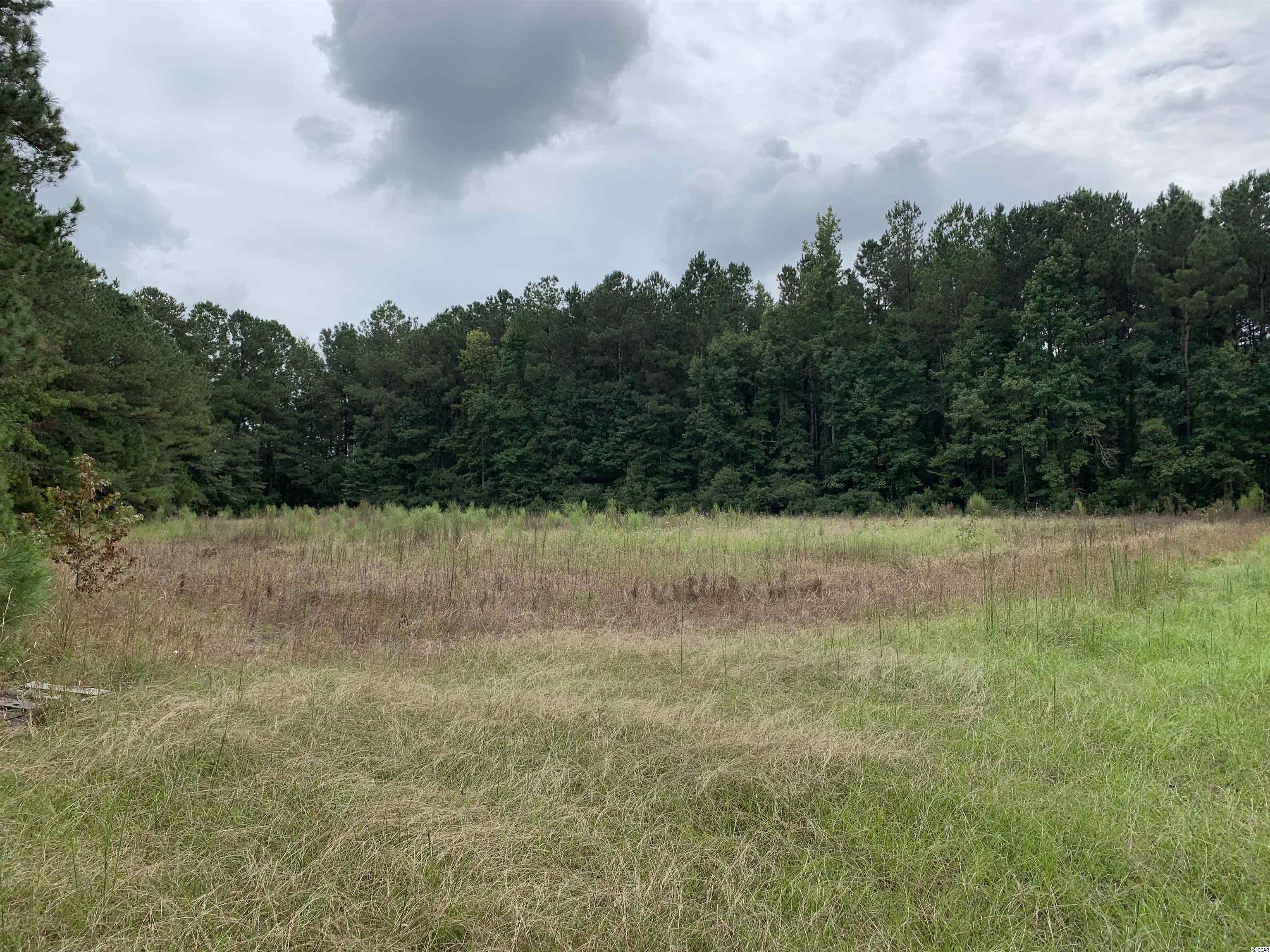 Tbt Black River Road New Zion, SC 29111 - Photo 10 of 19 Gallery Image 10
