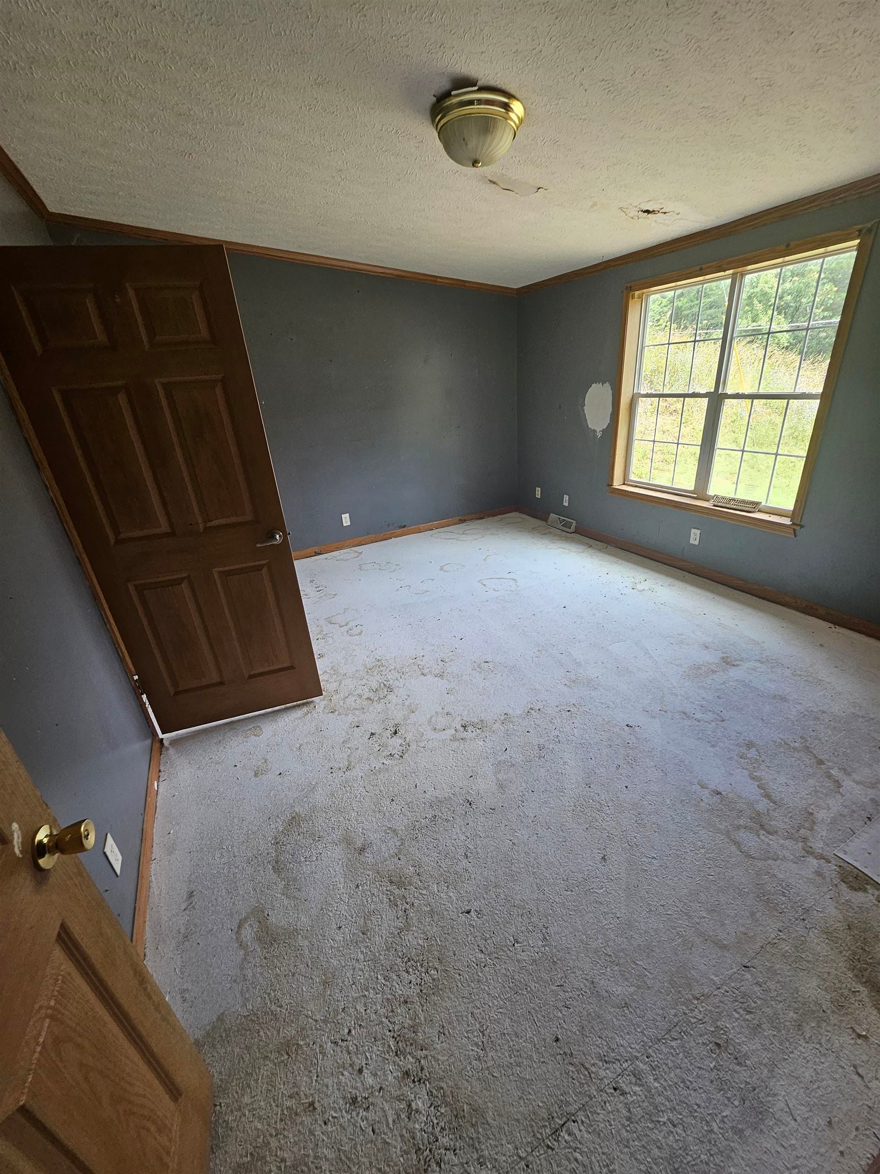 567 Sandy Ridge Road Glenwood, WV 25520 - Photo 9 of 23 Gallery Image 9