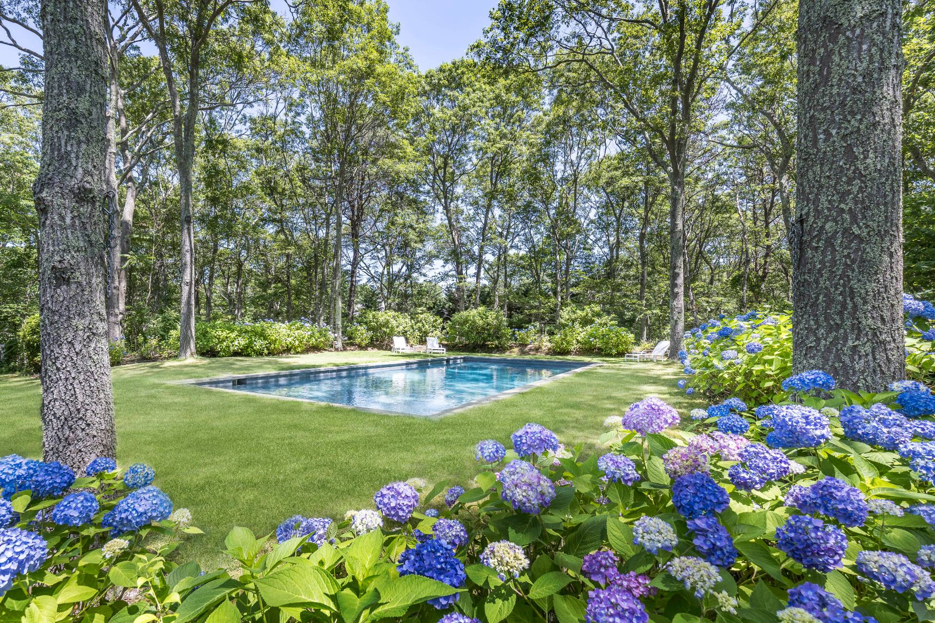 9 Dering Lane East Hampton, NY 11937 - Photo 6 of 30 a view of a flowers in a garden