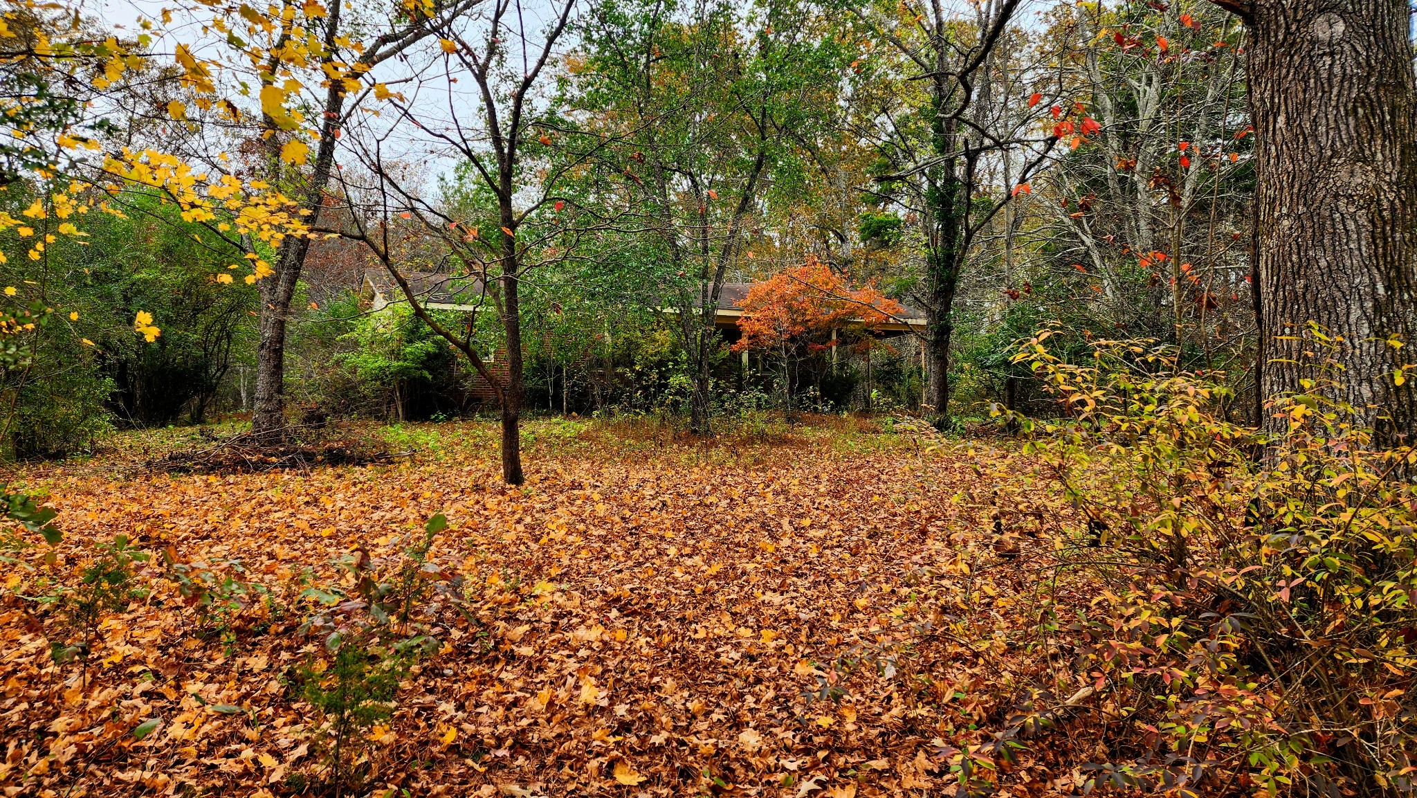 185 Gardner Road Bon Aqua, TN 37025 - Photo 18 of 19 Gallery Image 18