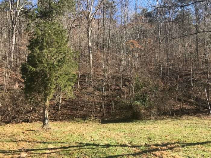 2860 Sycamore Road Culloden, WV 25510 - Photo 8 of 8 Gallery Image 8