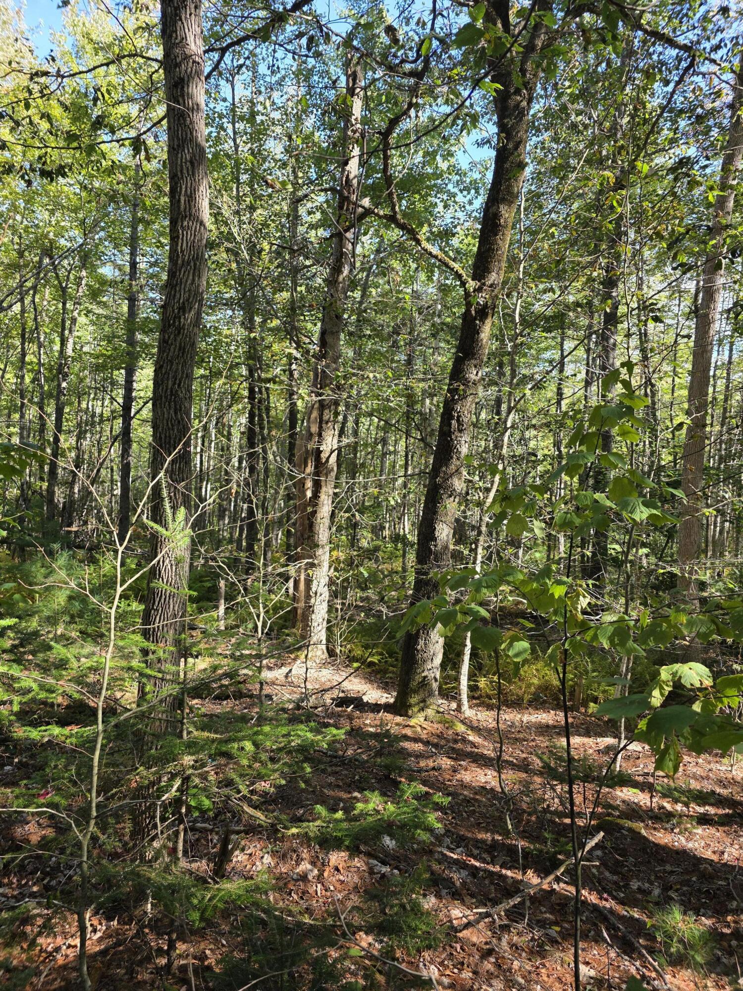 0 Back Searsport Road Belfast, ME 04915 - Photo 3 of 11 1000022314