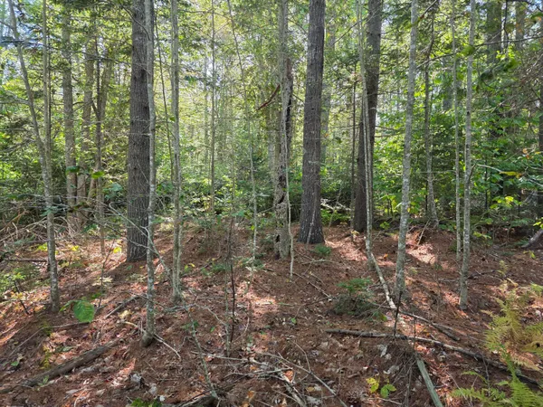 $79,000 | 0 Back Searsport Road, Belfast, ME 04915