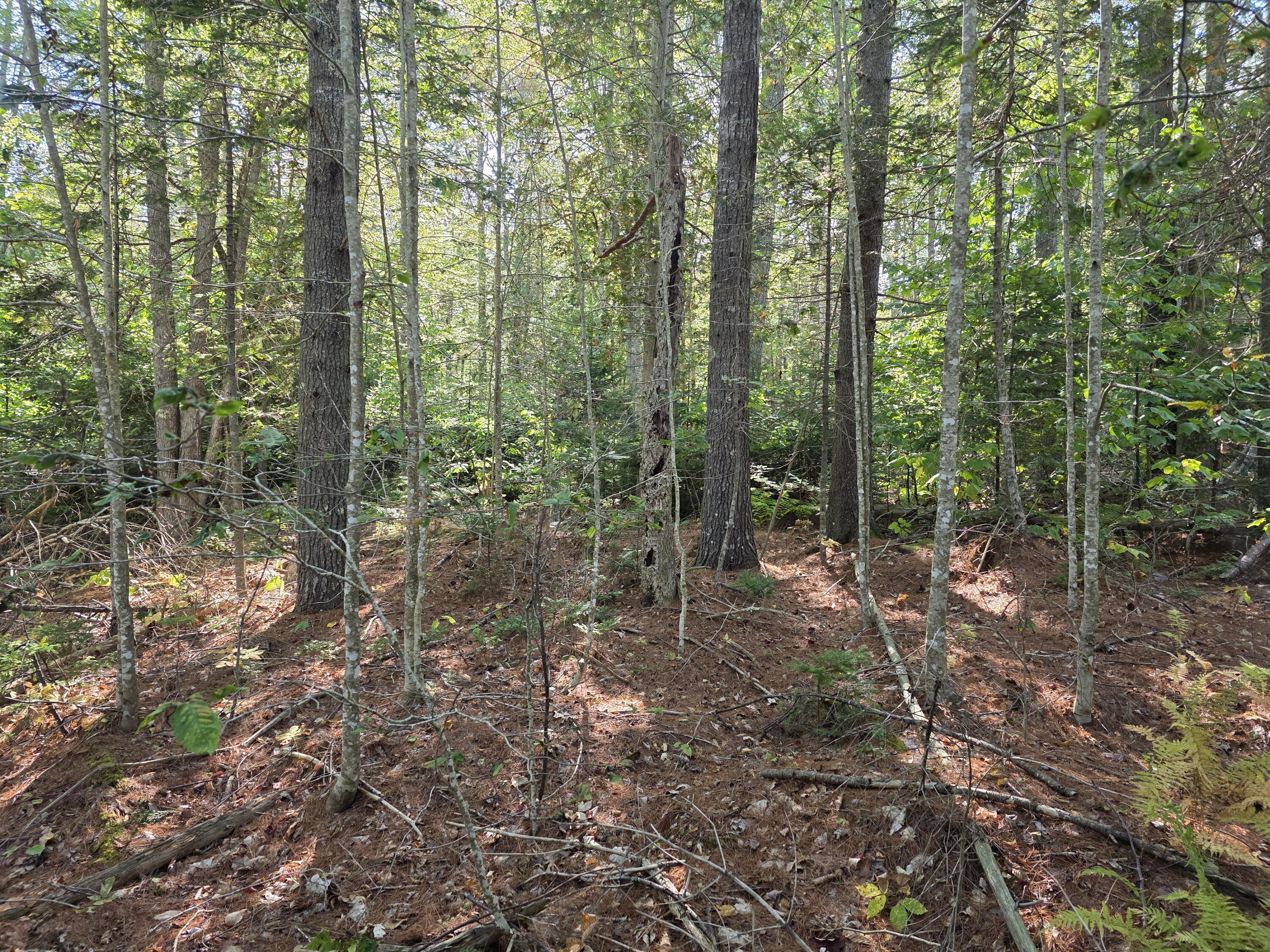 0 Back Searsport Road Belfast, ME 04915 - Photo 4 of 11 1000022313