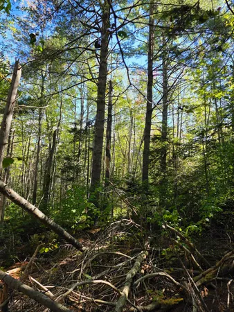 $79,000 | 0 Back Searsport Road, Belfast, ME 04915