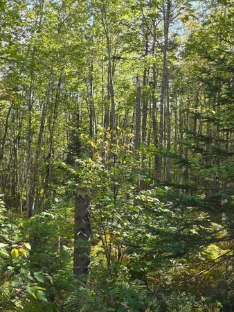 $79,000 | 0 Back Searsport Road, Belfast, ME 04915