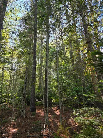 $79,000 | 0 Back Searsport Road, Belfast, ME 04915