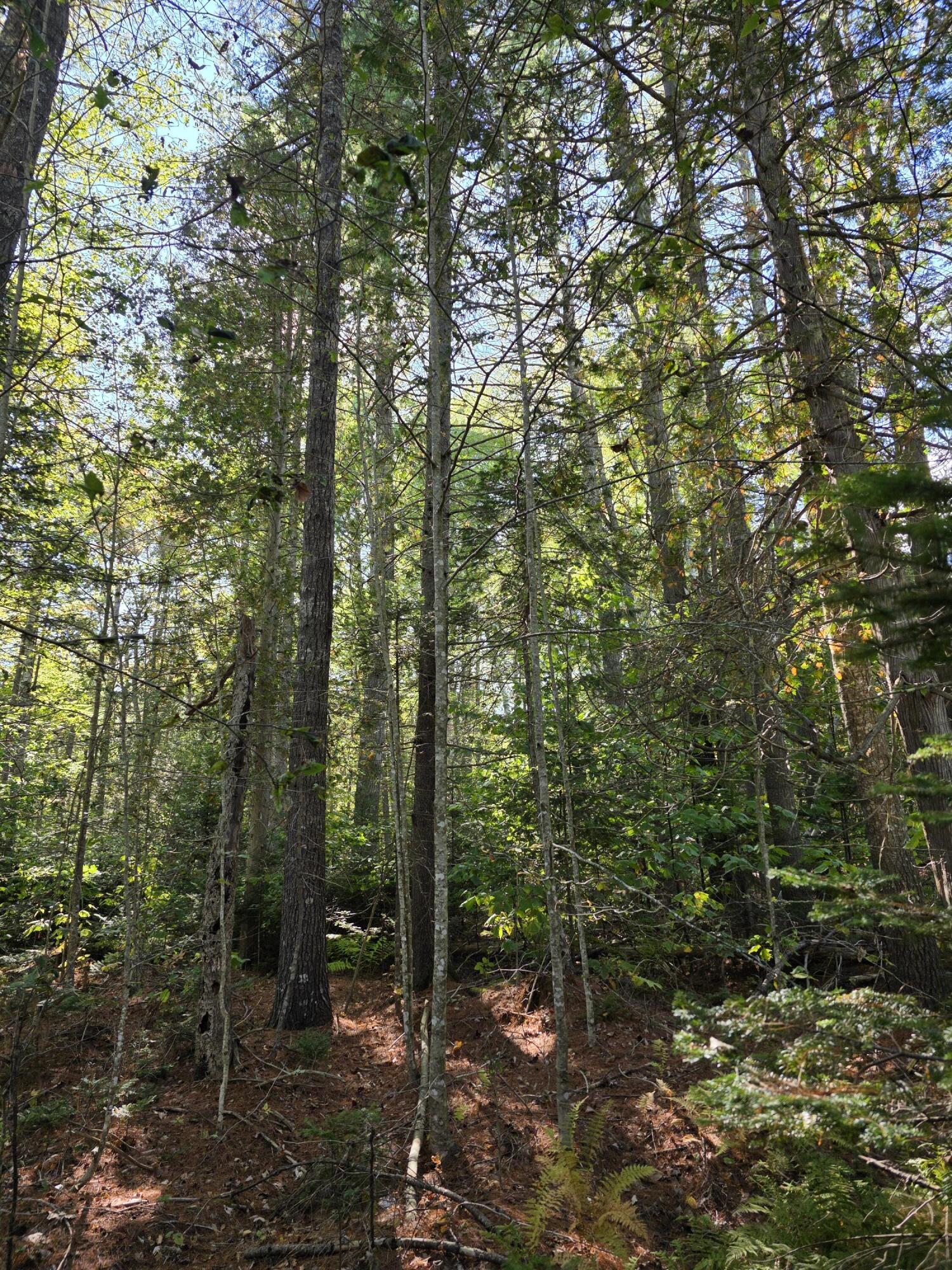 0 Back Searsport Road Belfast, ME 04915 - Photo 10 of 11 1000022312