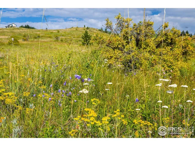 a view of a large green field