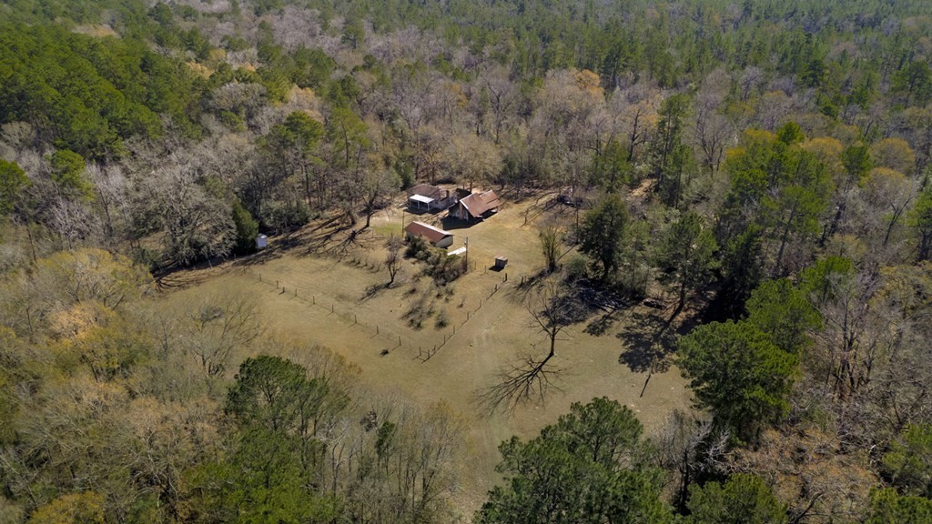 893 Capps Road Huntington, TX 75949 - Photo 28 of 33