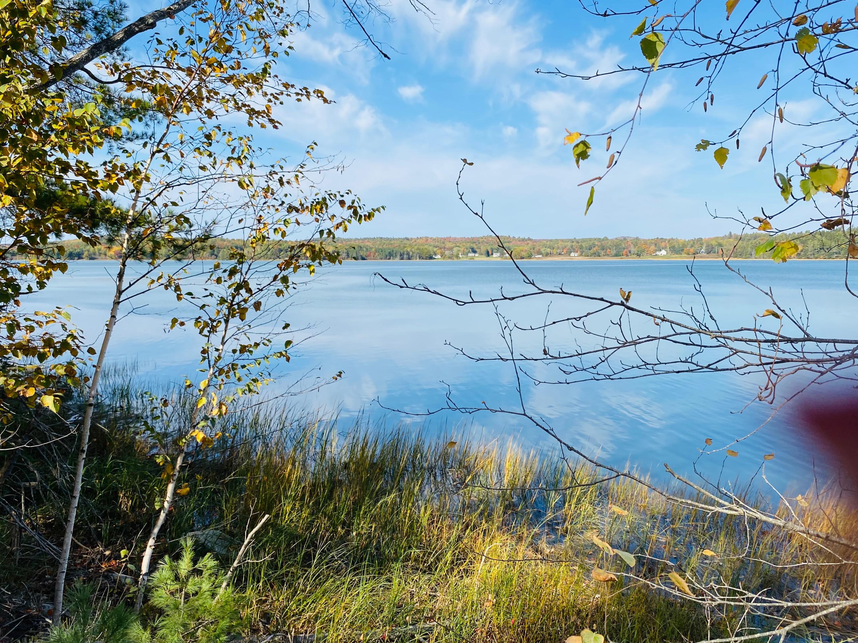 0 South Bay Road Franklin, ME 04634 - Photo 1 of 15 IMG_0428 2