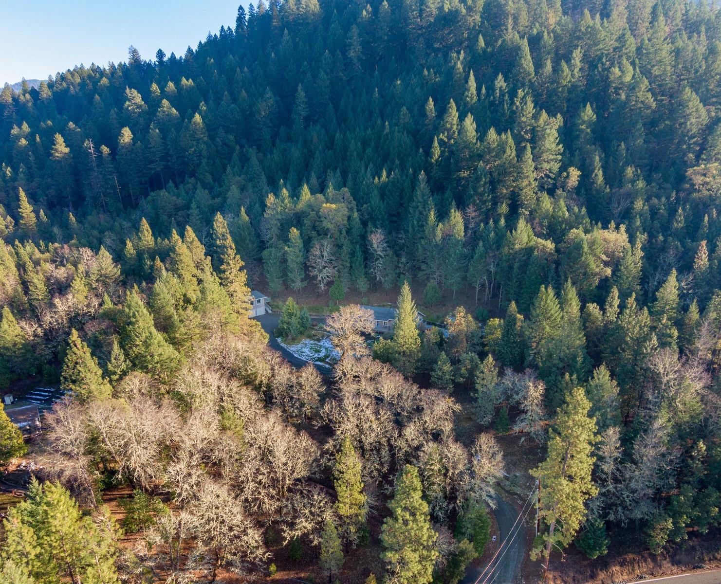 8129 Thompson Creek Road Jacksonville, OR 97530 - Photo 29 of 33 Additional Photo