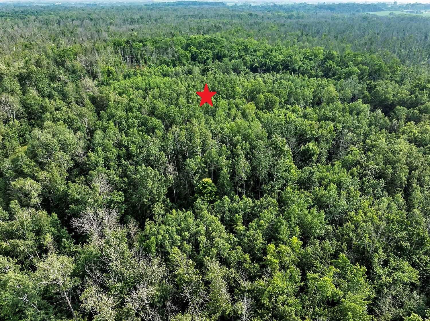 County Road South, Unit 120A Algoma, WI 54201 - Photo 6 of 9