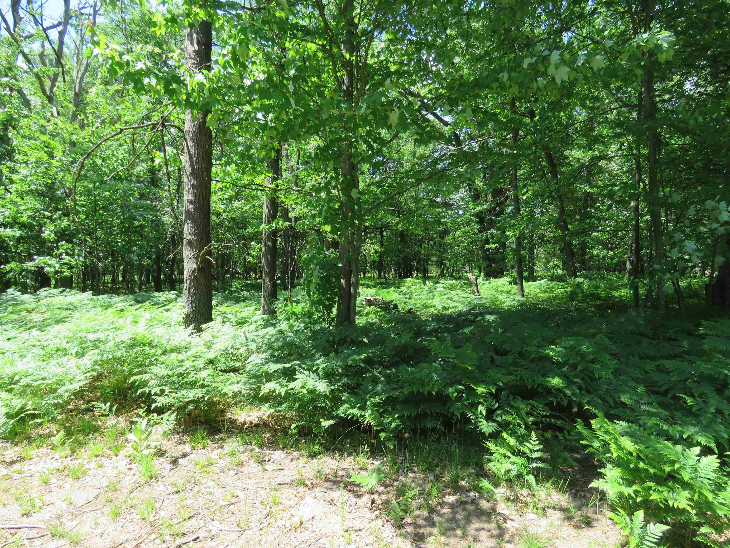 10420 West Rosted Road Lake City, MI 49651 - Photo 8 of 11