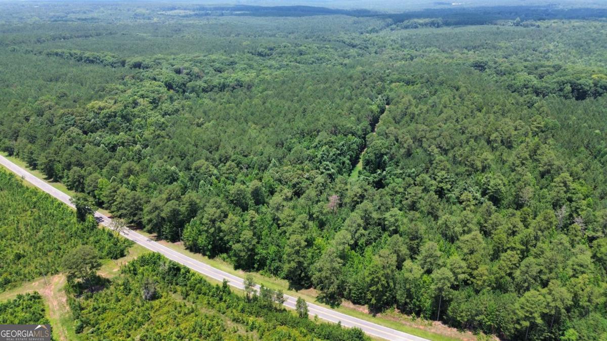 0 Springfield / Turner Road Union Point, GA 30669 - Photo 30 of 34