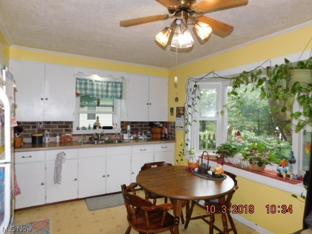 5123 South Ridge Road East Ashtabula, OH 44004 - Photo 27 of 31