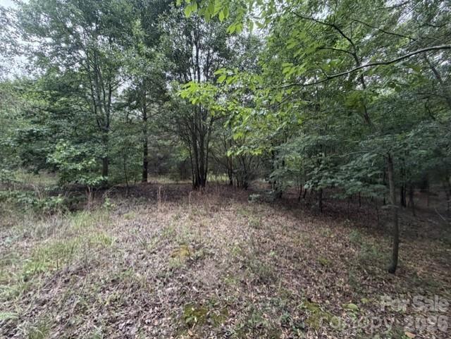 1100 Blacksburg Road Grover, NC 28073 - Photo 21 of 24
