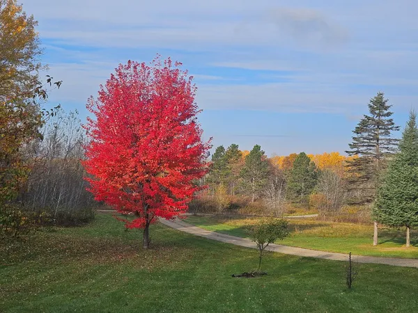 $439,900 | 6828 Aurora Drive Northwest, Akeley, MN 56433