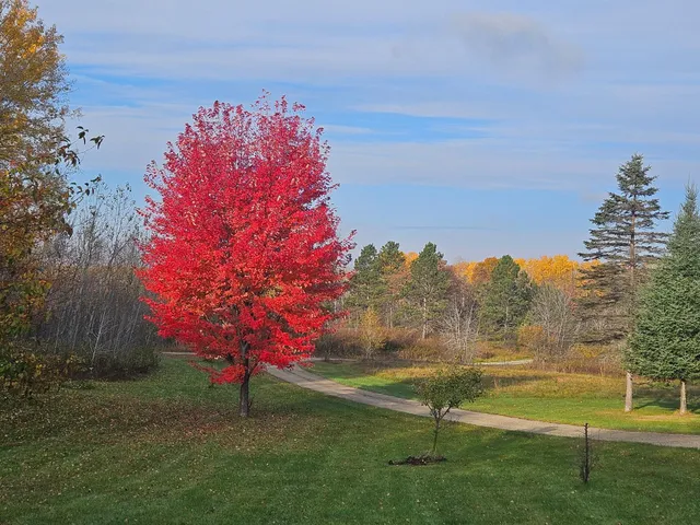 $439,900 | 6828 Aurora Drive Northwest, Akeley, MN 56433