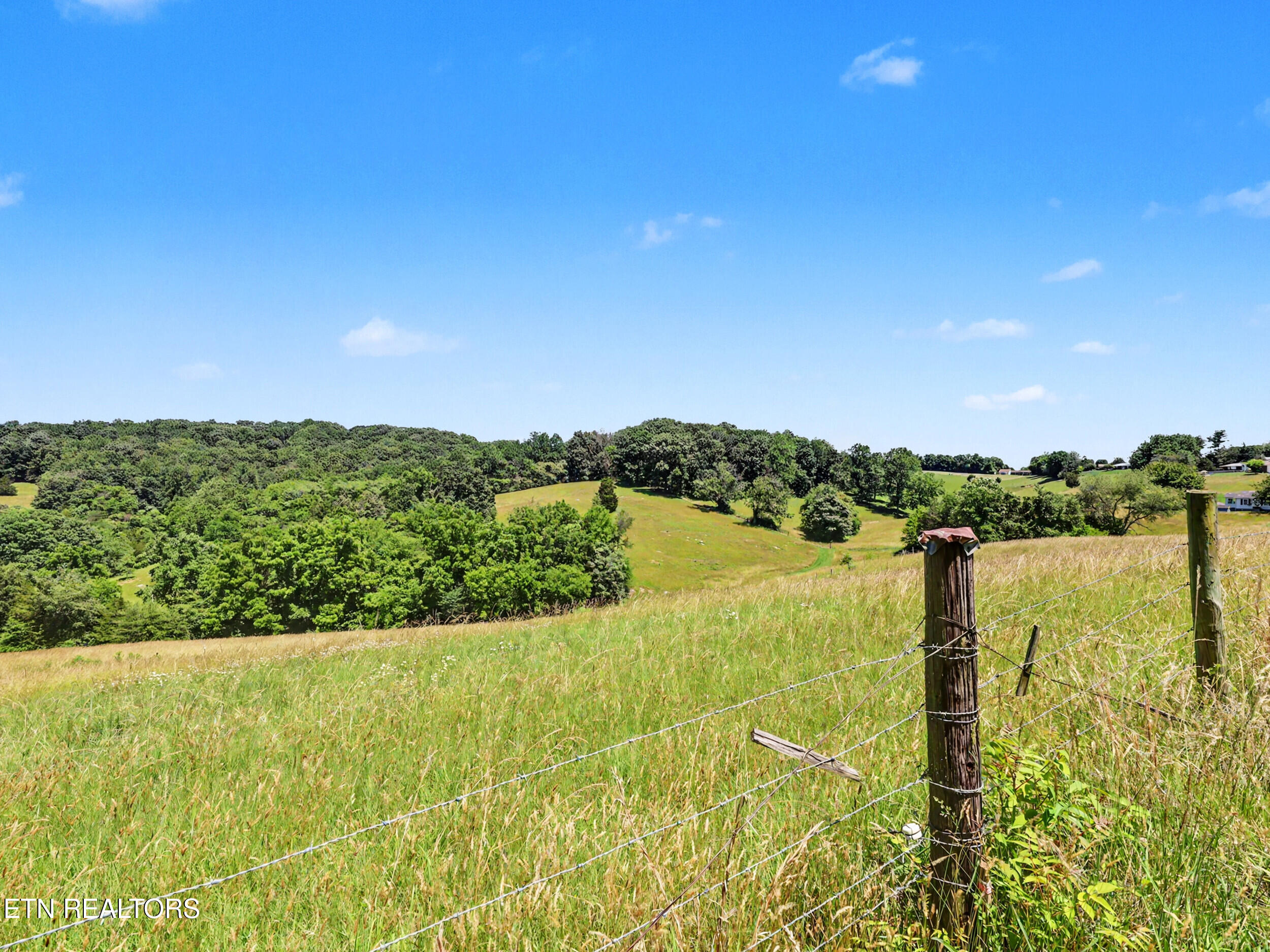 848 Lakeshore Road Talbott, TN 37877 - Photo 8 of 51 Sounded by land!