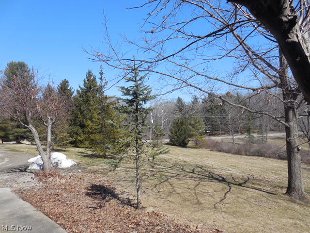 13442 Sperry Road Chesterland, OH 44026 - Photo 20 of 20