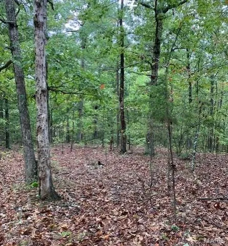 $48,000 | Undisclosed Address, Fredericktown, MO 63645