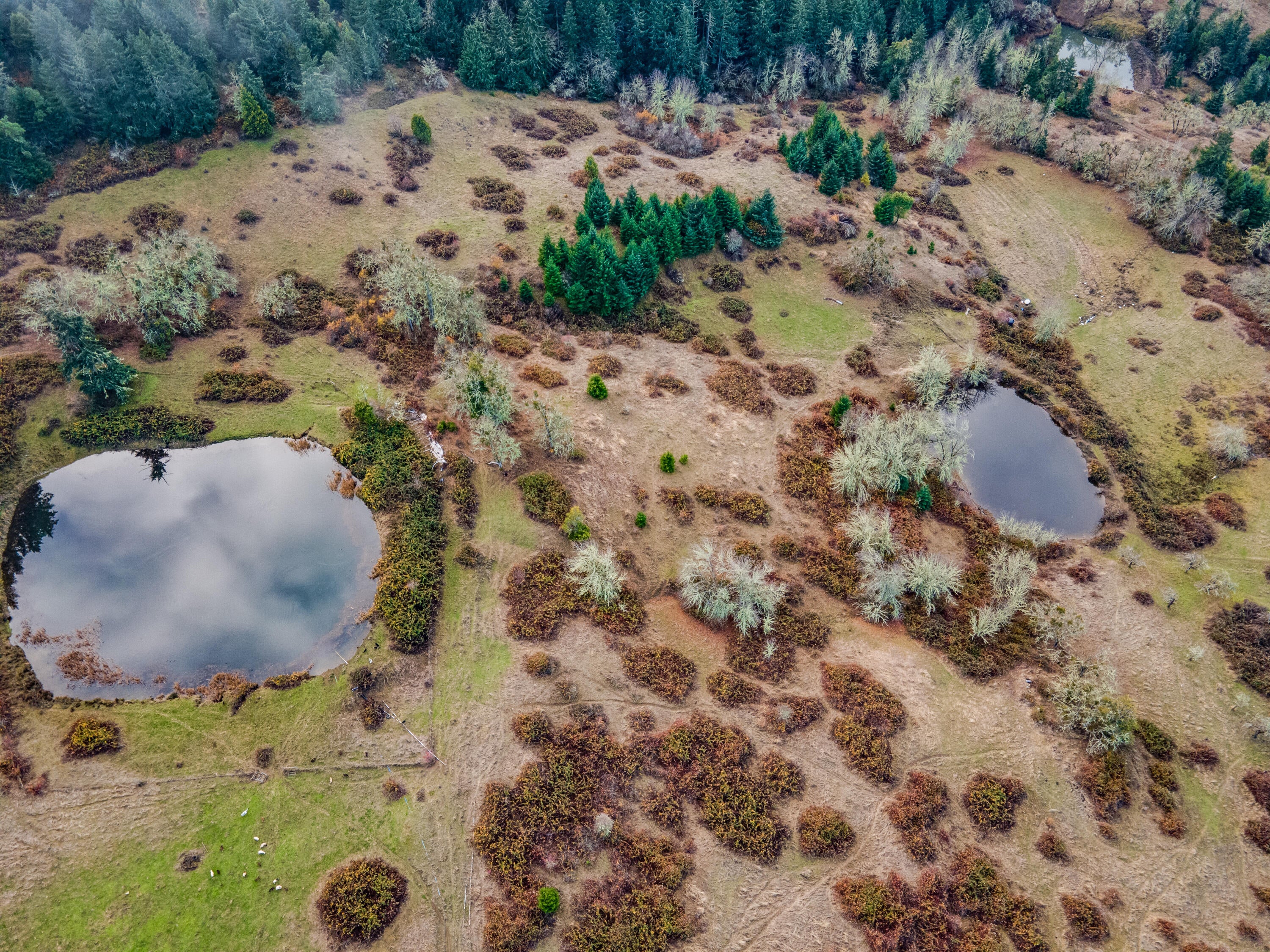 3017 Boomer Hill Road Myrtle Creek, OR 97457 - Photo 19 of 53 3017 Boomer Hill Rd - Drone-20