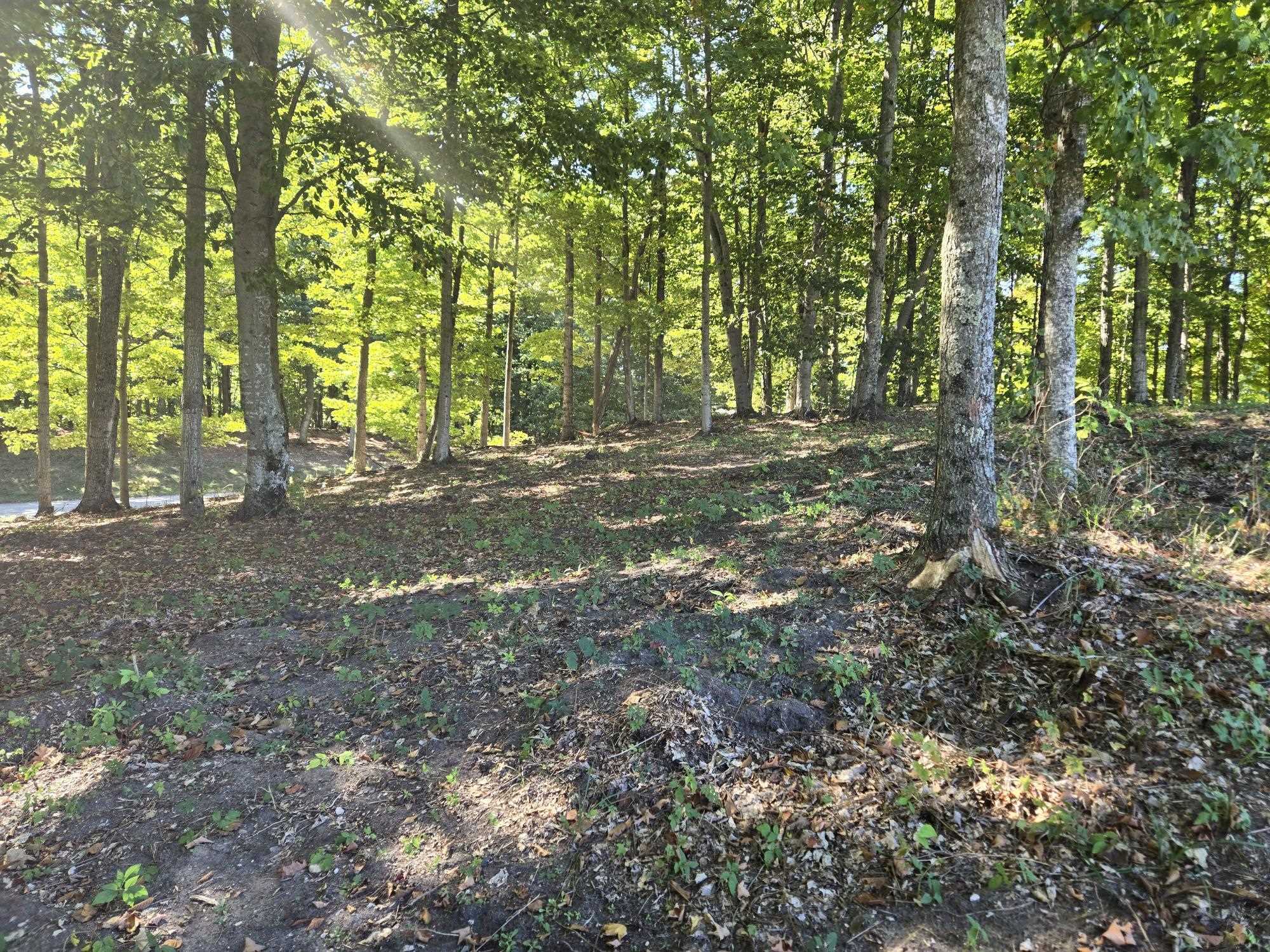23 Heather Ridge Trail Beulah, MI 49617 - Photo 5 of 10