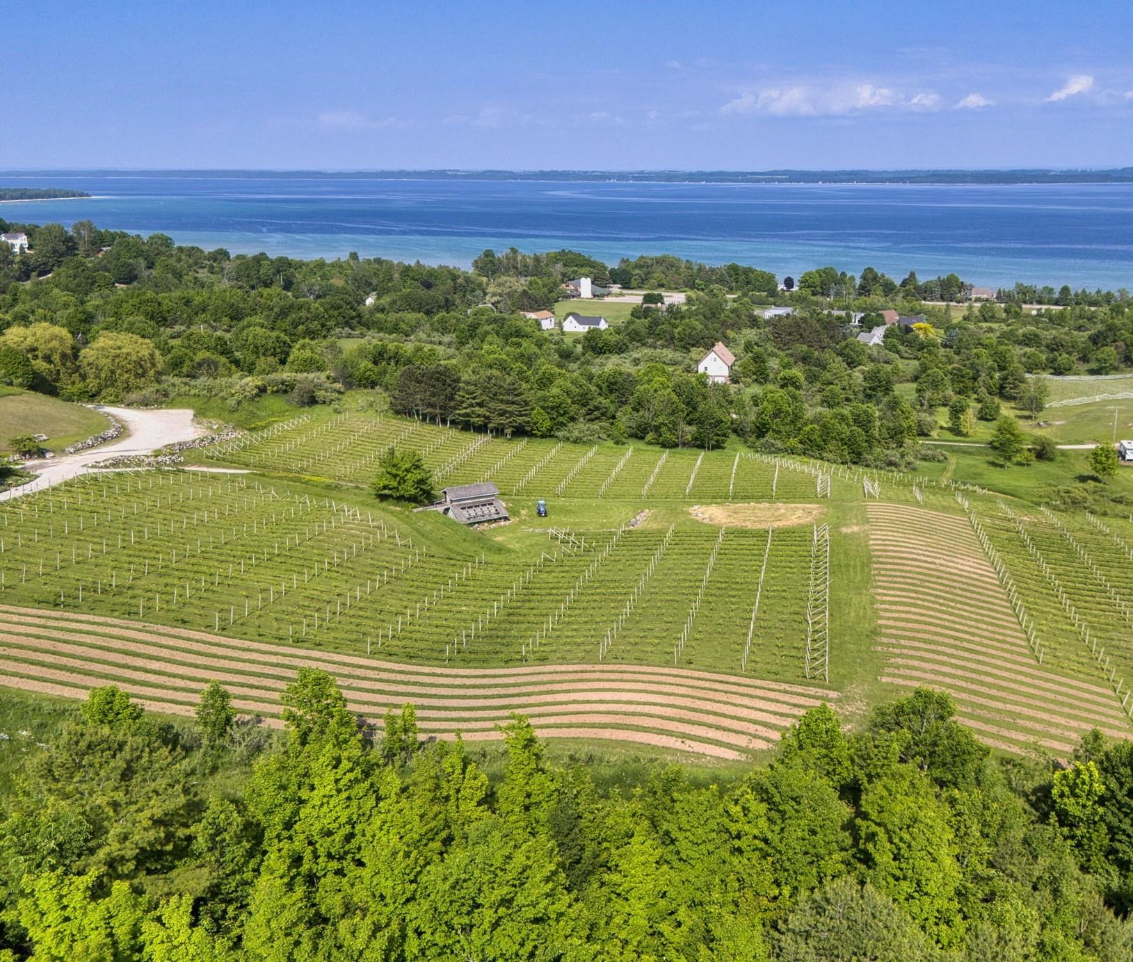10702 East Hilltop Road Suttons Bay, MI 49682 - Photo 86 of 92