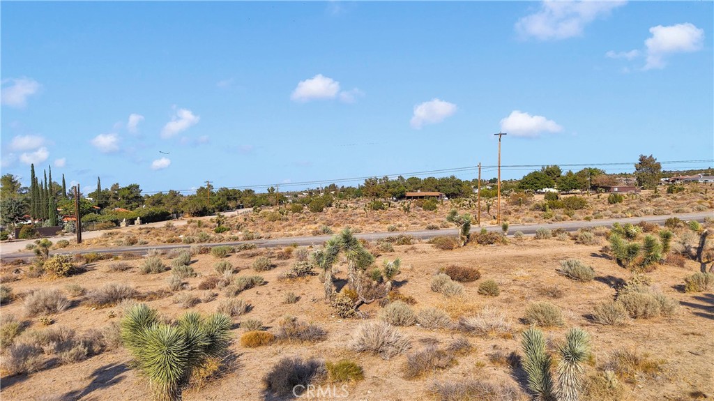 875 Locust Road Pinon Hills, CA 92372 - Photo 10 of 10