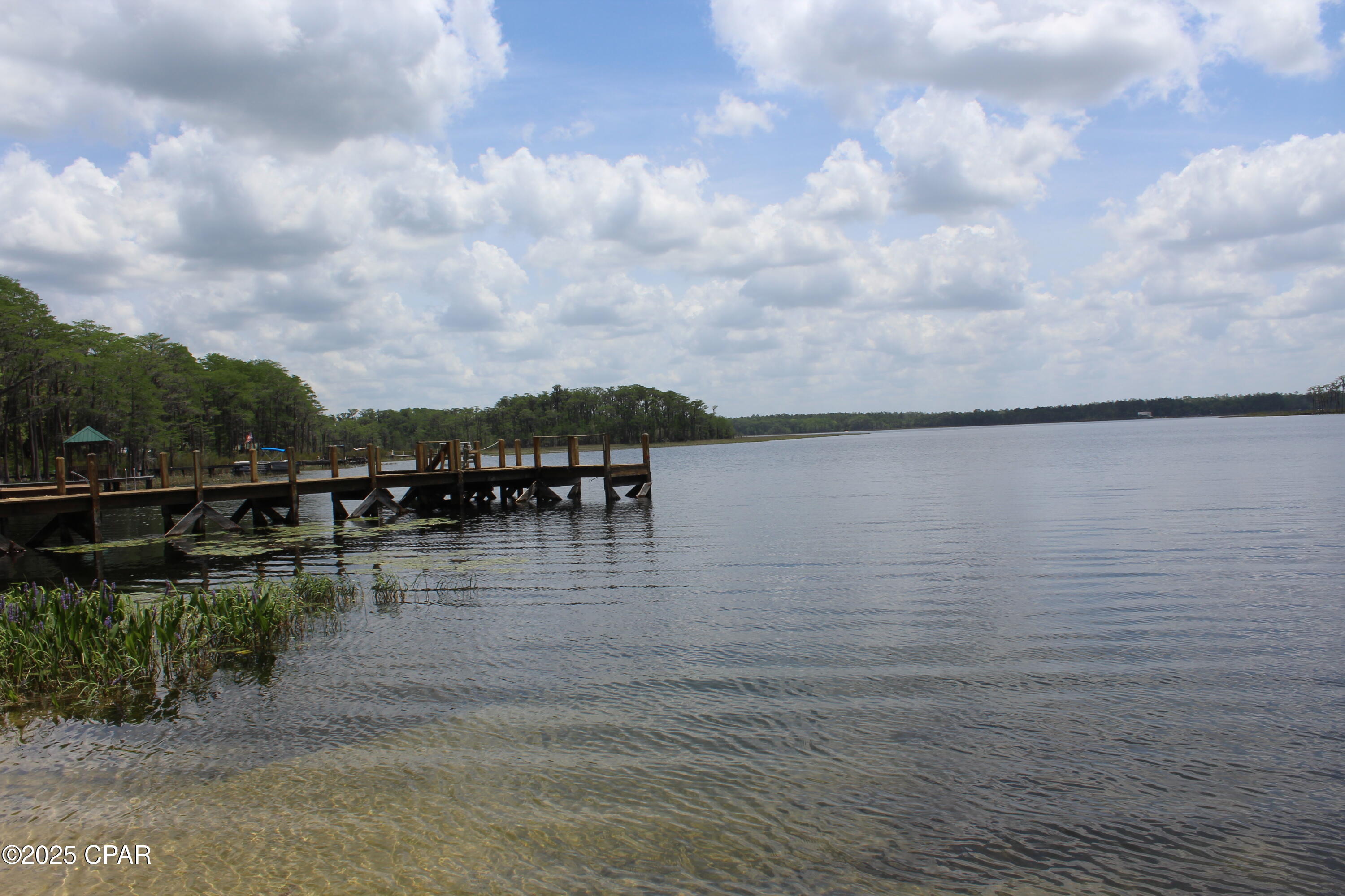 Lot 5 Arnone Lane Chipley, FL 32428 - Photo 6 of 11