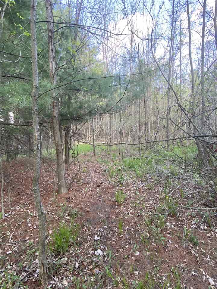 1800 Chappel Dam Road Gladwin, MI 48624 - Photo 18 of 19 Gallery Image 18