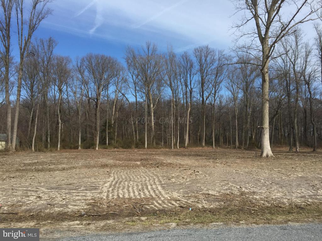 Lot 9 Poplar Neck Road Parsonsburg, MD 21849 - Photo 1 of 3 Gallery Image 1
