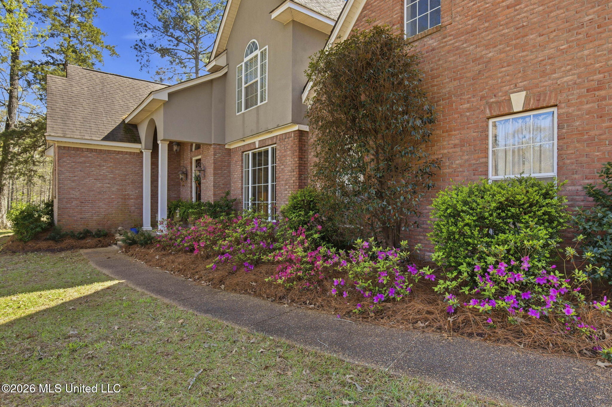 116 Windsor Boulevard Brandon, MS 39042 - Photo 6 of 61 Front of house 6
