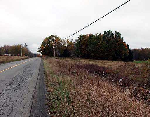 Lot 45 B Road Houlton, ME 04730 - Photo 6 of 14 Land. Road Shot