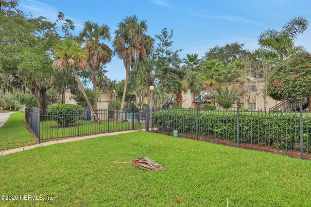 a view of a park with large trees
