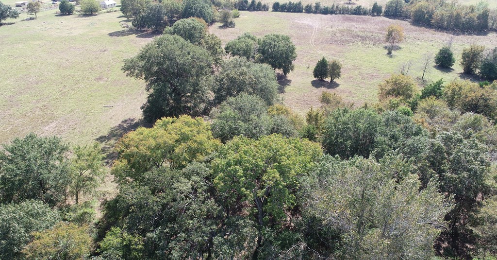 2703 AN County Road Tennessee Colony, TX 75861 - Photo 12 of 30