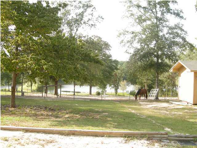 1083 Tallokas Road Crestview, FL 32536 - Photo 32 of 35 a view of outdoor space with swimming pool and trees