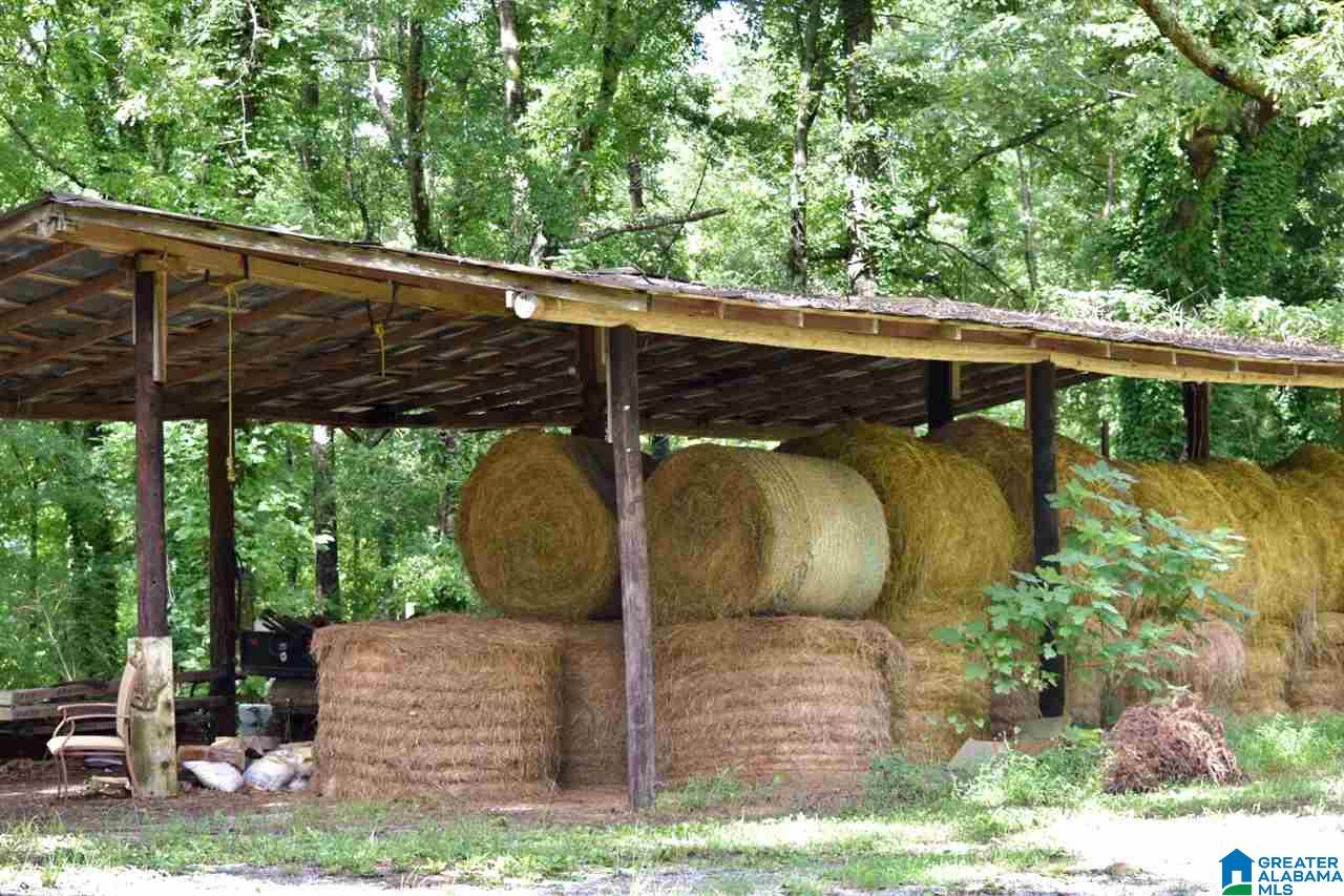 3330 Highway 174 Springville, AL 35146 - Photo 17 of 21
