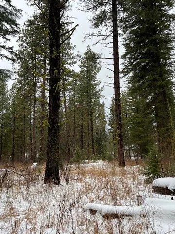 $285,000 | Tbd South Samson Trail, McCall, ID 83638