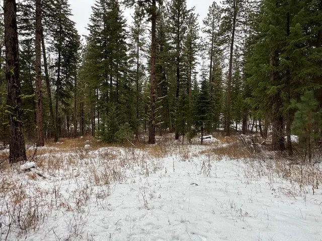 $285,000 | Tbd South Samson Trail, McCall, ID 83638