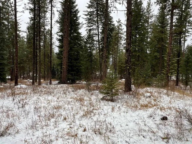 $285,000 | Tbd South Samson Trail, McCall, ID 83638