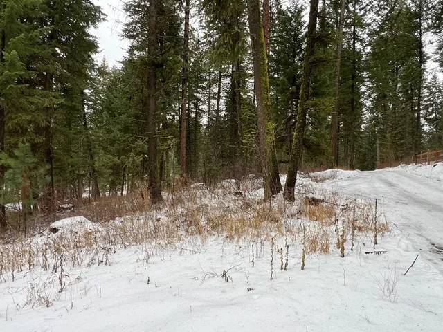 $285,000 | Tbd South Samson Trail, McCall, ID 83638
