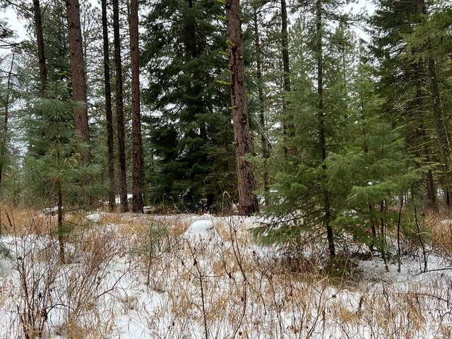 $285,000 | Tbd South Samson Trail, McCall, ID 83638