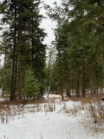 $285,000 | Tbd South Samson Trail, McCall, ID 83638