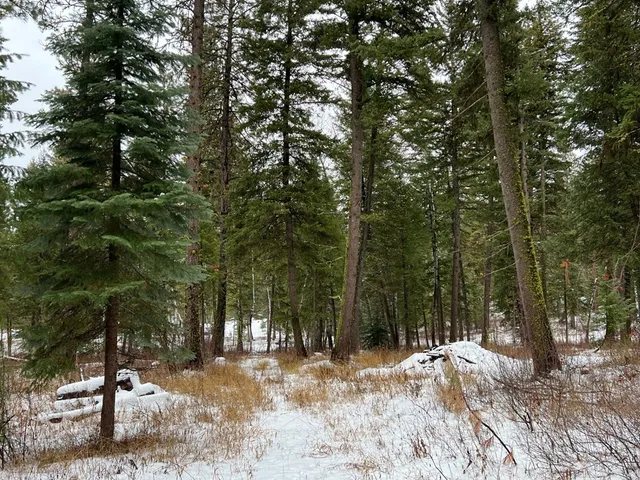 $285,000 | Tbd South Samson Trail, McCall, ID 83638
