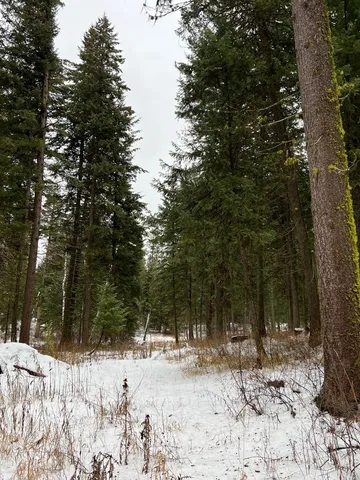 $285,000 | Tbd South Samson Trail, McCall, ID 83638
